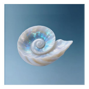 Iridescent Nautilus Shell Spiral Acrylic Print