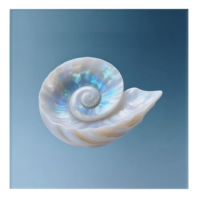 Iridescent Nautilus Shell Spiral Acrylic Print (Front)