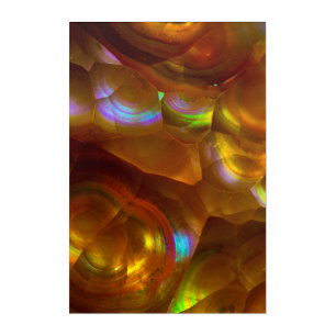 Iridescent orange fire opal acrylic print