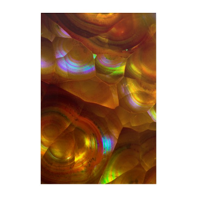Iridescent orange fire opal acrylic print (Front)