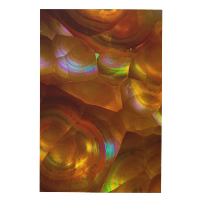 Iridescent orange fire opal wood wall decor (Front)