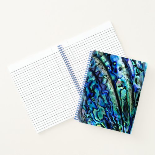 Iridescent Paua Abalone Shell Notebook