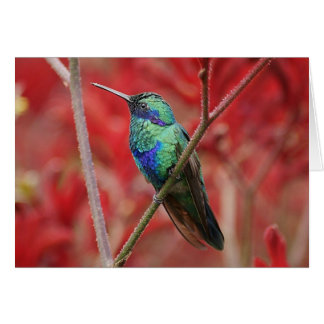 Iridescent Shine Cards