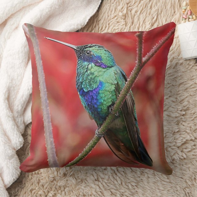 Iridescent Shine Throw Pillow (Blanket)