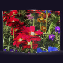Iridescent Spring Binder