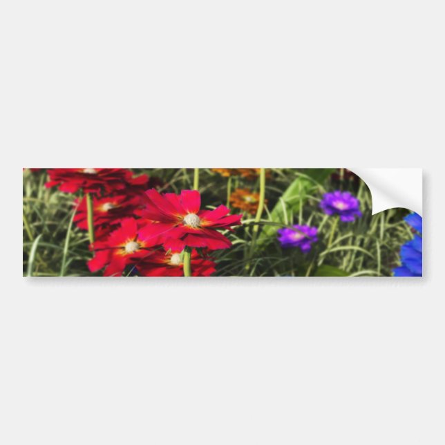 Iridescent Spring Bumper Sticker (Front)