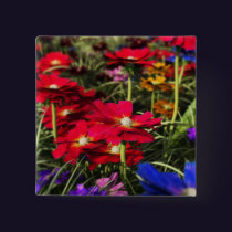 Iridescent Spring Button