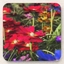 Iridescent Spring Cork Coaster