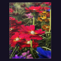 Iridescent Spring Notebook