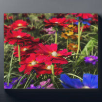 Iridescent Spring Photo Plaque