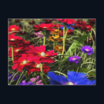 Iridescent Spring Postcard