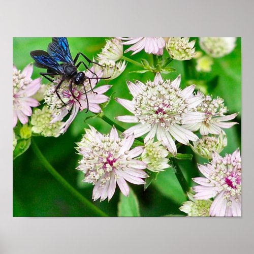 Iridescent Wasp On Flowers Close Up Poster