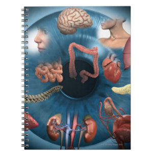 Iridology Notebook