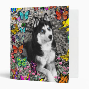 Irie the Siberian Husky in Butterflies Binder
