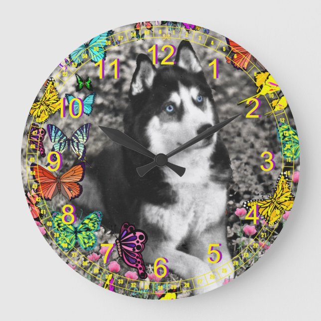 Irie the Siberian Husky in Butterflies II Large Clock (Front)