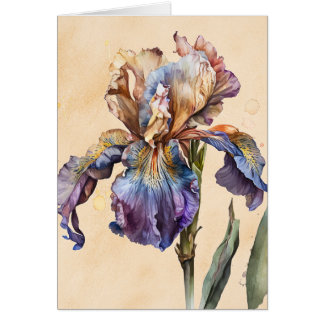 Iris