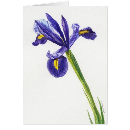 "Iris 2" Cards (Front)