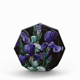Iris Acrylic Award