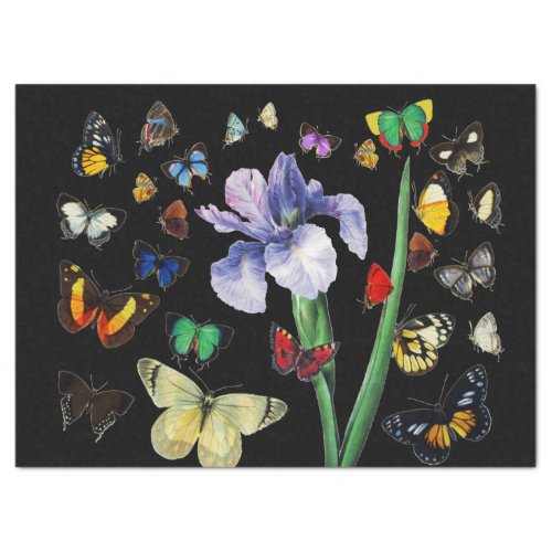 IRIS AMONG COLORFUL BUTTERFLIES Black Floral Tissue Paper