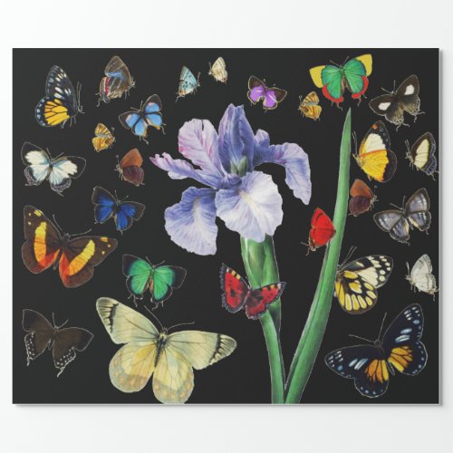 IRIS AMONG COLORFUL BUTTERFLIES Black Floral Wrapping Paper