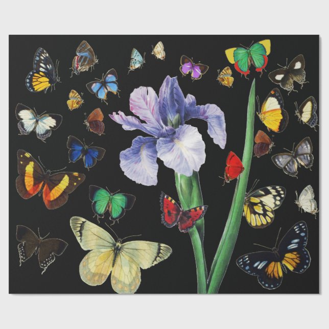 IRIS AMONG COLORFUL BUTTERFLIES Black Floral Wrapping Paper (Flat)