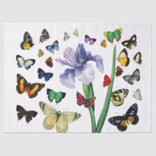 IRIS AMONG COLORFUL BUTTERFLIES White Floral Tissue Paper