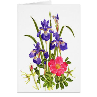 Iris and Beach Rose Cards