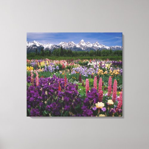 Iris and Lupine garden and Teton Range Canvas Print