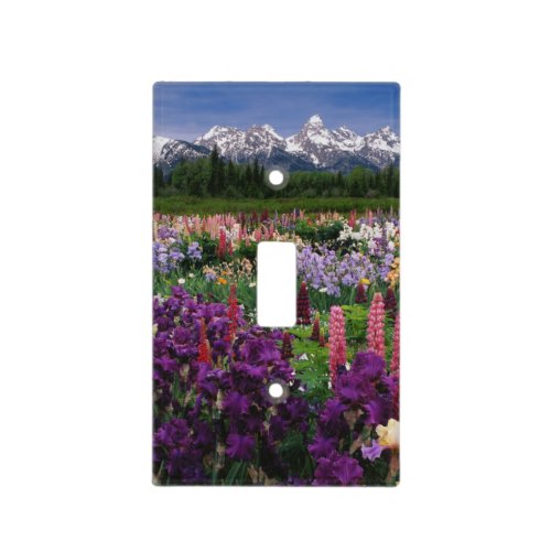 Iris and Lupine garden and Teton Range Light Switch Cover