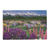 Iris and Lupine garden and Teton Range, Placemat | Zazzle