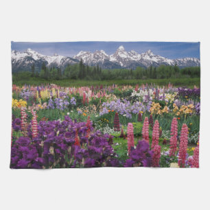 Iris and Lupine garden and Teton Range, Towel