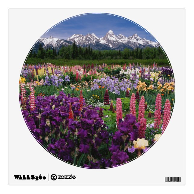 Iris and Lupine garden and Teton Range, Wall Decal (Front)