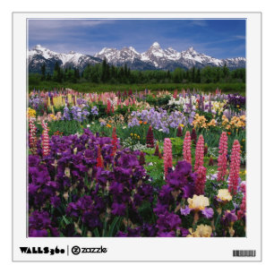Iris and Lupine garden and Teton Range, Wall Sticker
