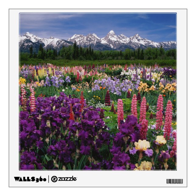 Iris and Lupine garden and Teton Range, Wall Sticker (Front)