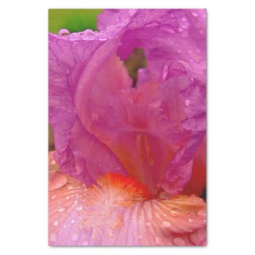 Iris Beauty_Tissue Wrapping Paper