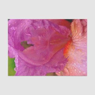 Iris Beauty-Tissue Wrapping Paper