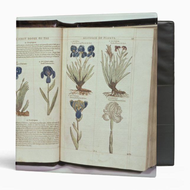 Iris Binder (Front/Inside)