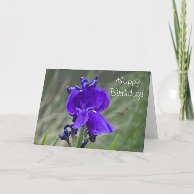 Iris Birthday Card (Front)