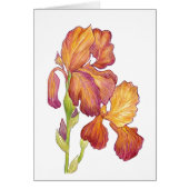 Iris blank inside Card (Front)