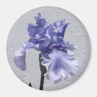 Iris Bloom Magnet