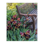 Iris Blooms and Garden Park Bench Floral Acrylic Print