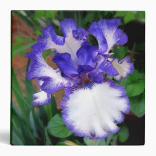 Iris ~ Blue and White ~ Binder