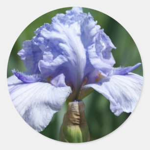 Iris-blue Classic Round Sticker
