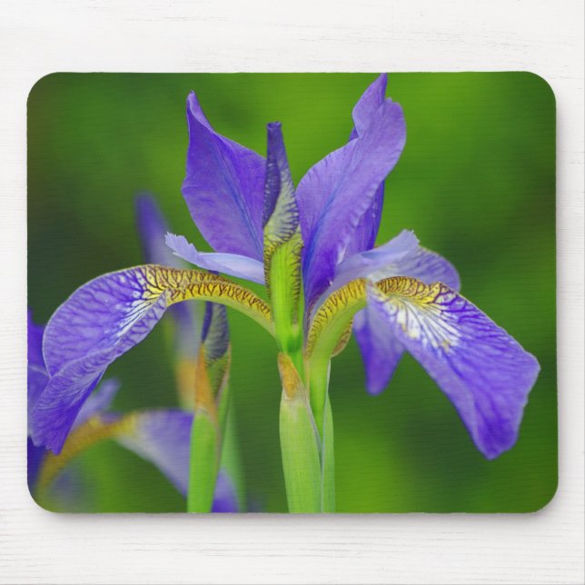 Iris Blue Flower Mousepad (Front)