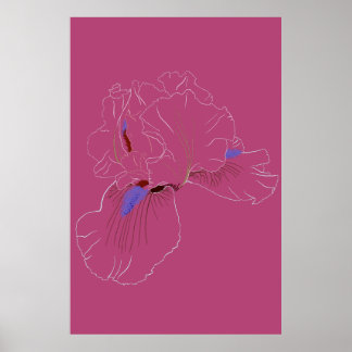 Iris Botanical Line Art Poster