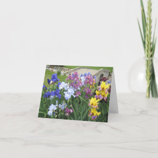 iris brook small blank note card