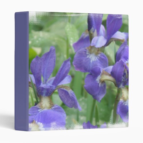 Iris Bulbs Binder