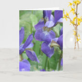 Iris Bulbs Greeting Card (Yellow Flower)
