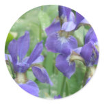 Iris Bulbs Stickers