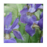 Iris Bulbs  Trivet